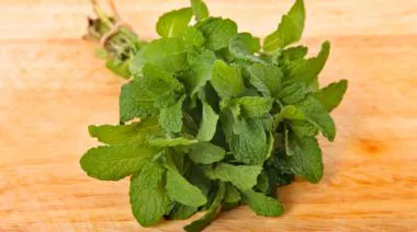 garnishing-instructions-image